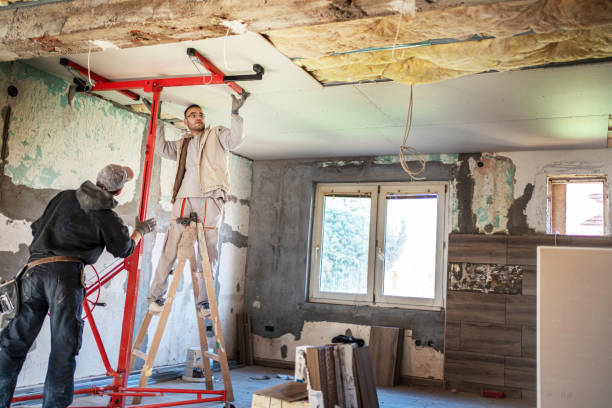 Best Insulation Maintenance and Repair in Williston Highlands, FL