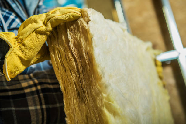 Best Residential Insulation in Williston Highlands, FL