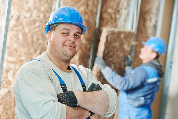 Best Types of Insulation in Williston Highlands, FL